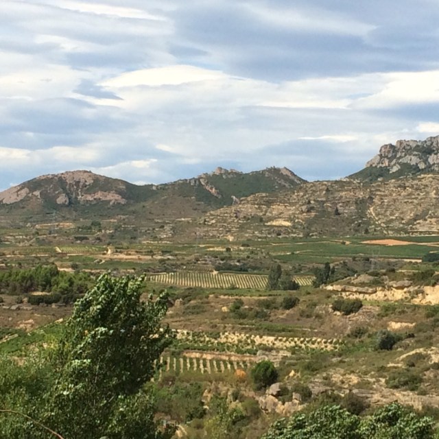 Rioja wine country