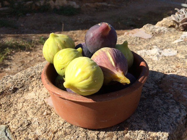 Welcome gift from a neighbor